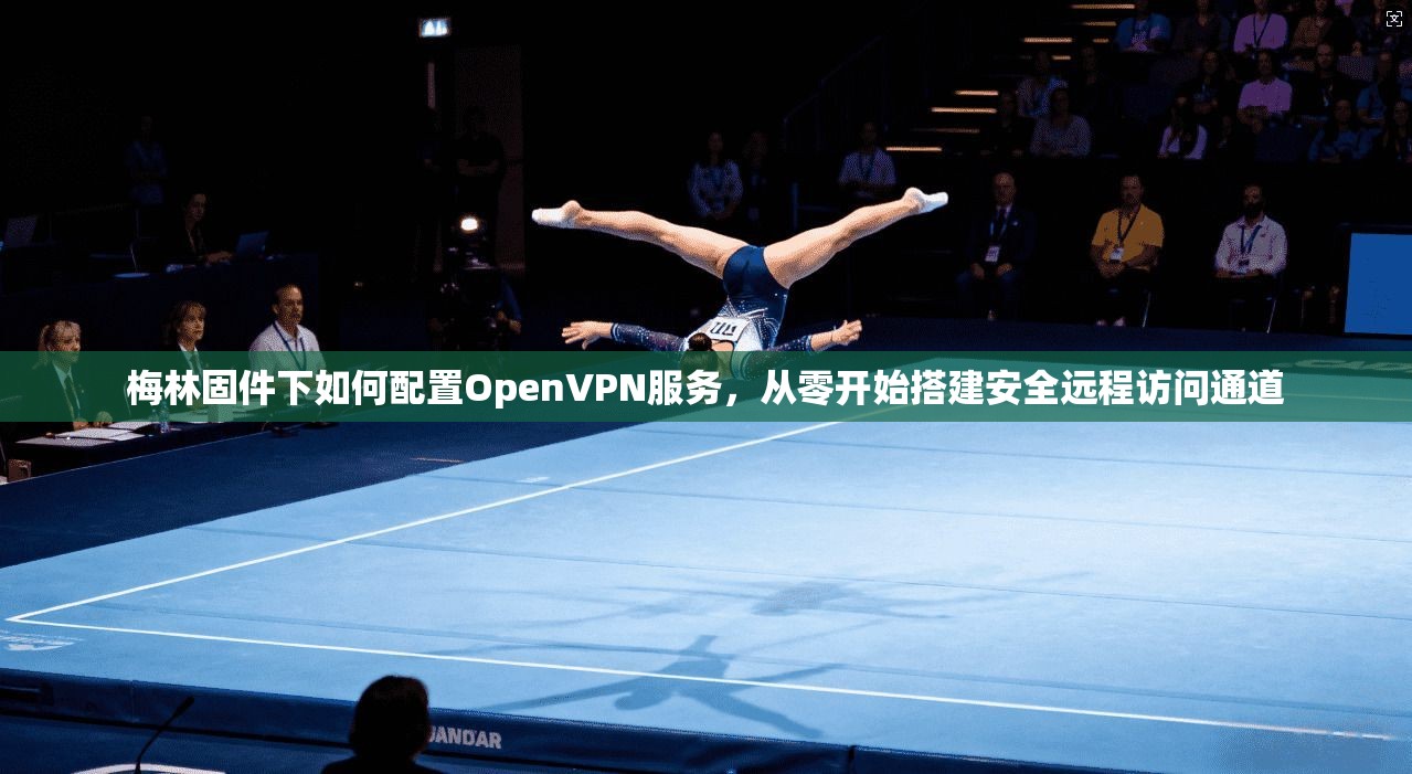梅林固件下如何配置OpenVPN服务，从零开始搭建安全远程访问通道