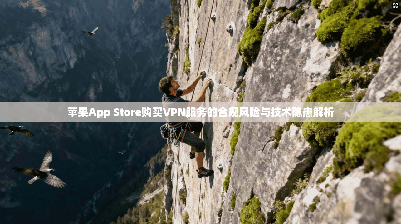 苹果App Store购买VPN服务的合规风险与技术隐患解析