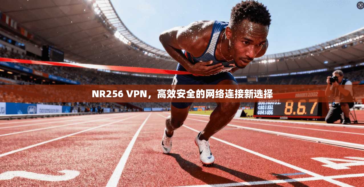 NR256 VPN，高效安全的网络连接新选择