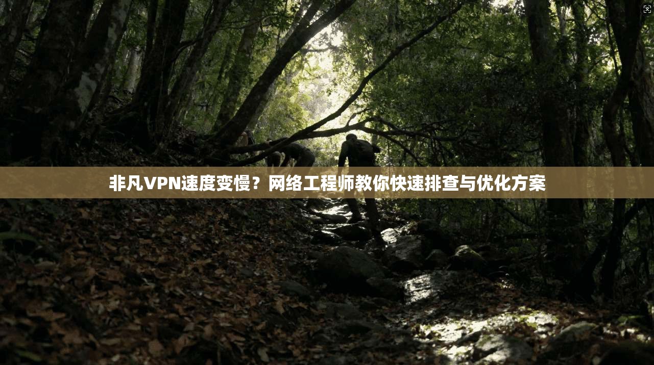 非凡VPN速度变慢？网络工程师教你快速排查与优化方案
