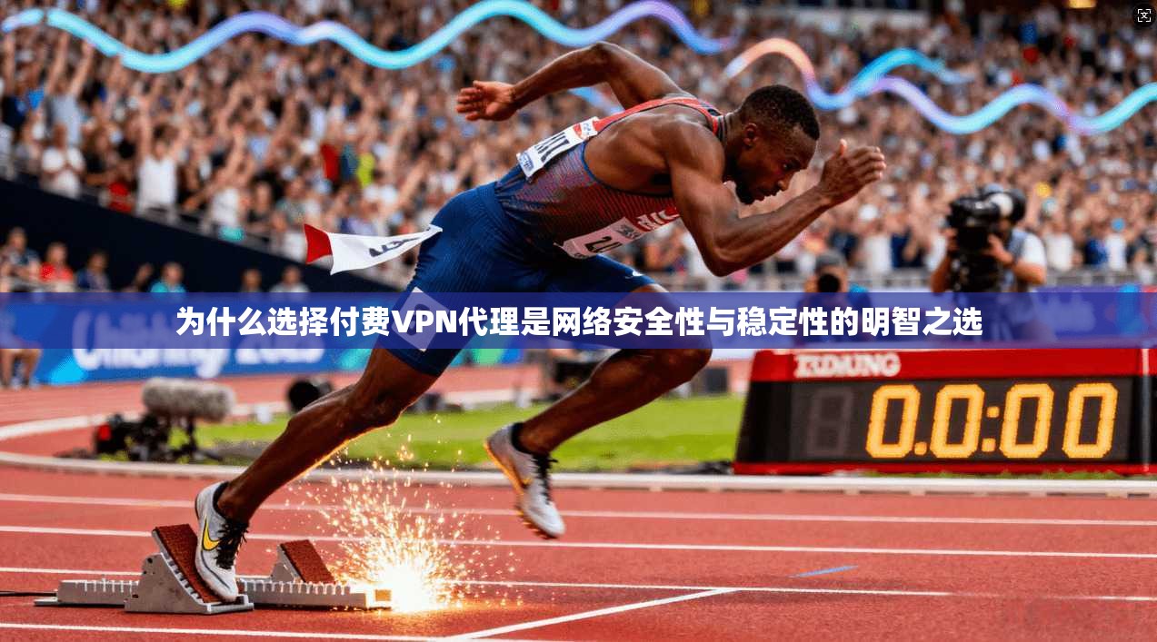 为什么选择付费VPN代理是网络安全性与稳定性的明智之选
