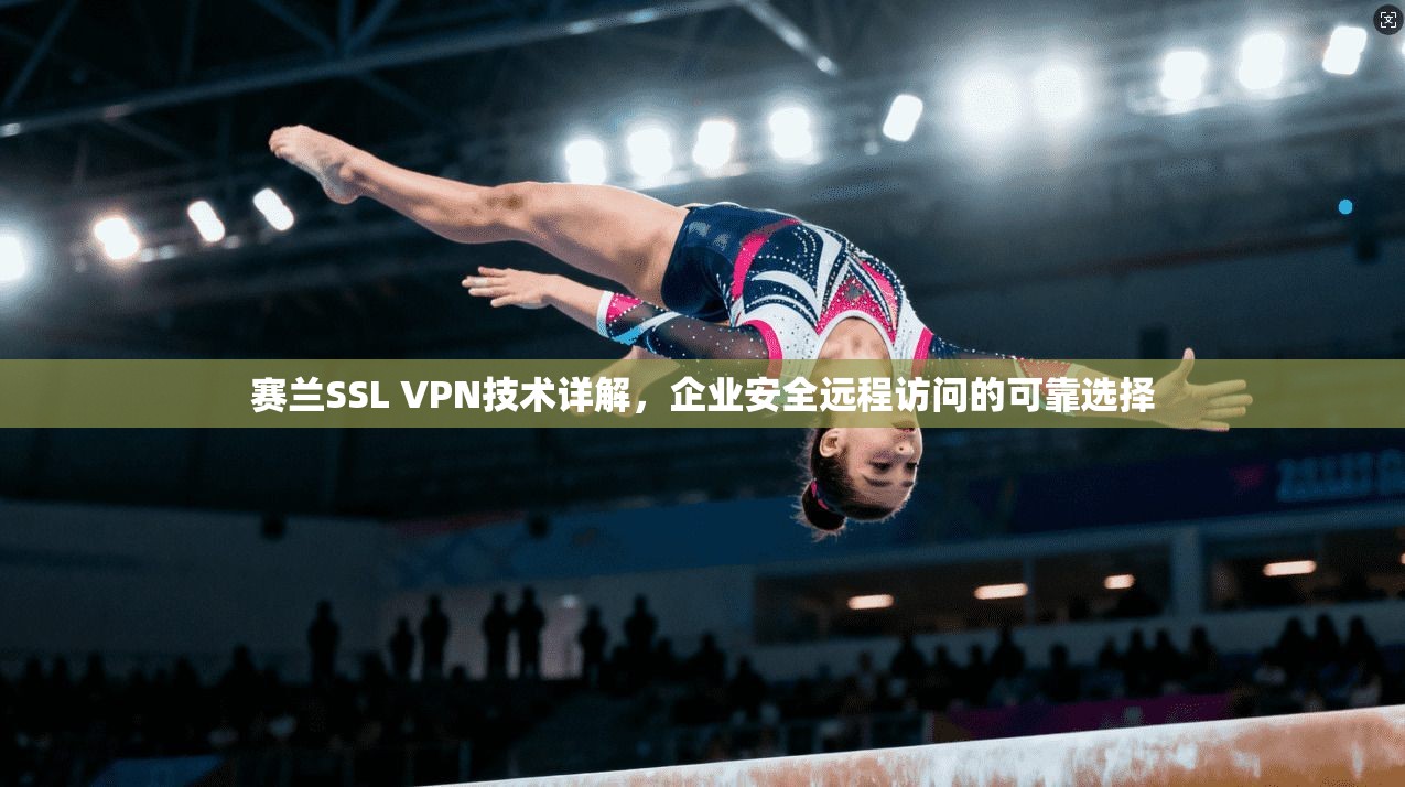 赛兰SSL VPN技术详解，企业安全远程访问的可靠选择