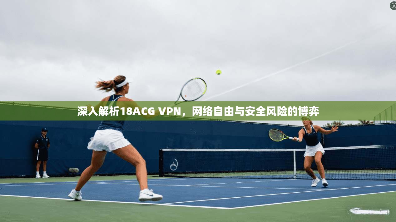 深入解析18ACG VPN，网络自由与安全风险的博弈