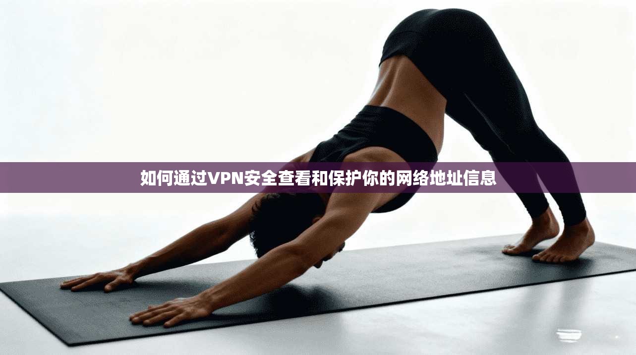 如何通过VPN安全查看和保护你的网络地址信息