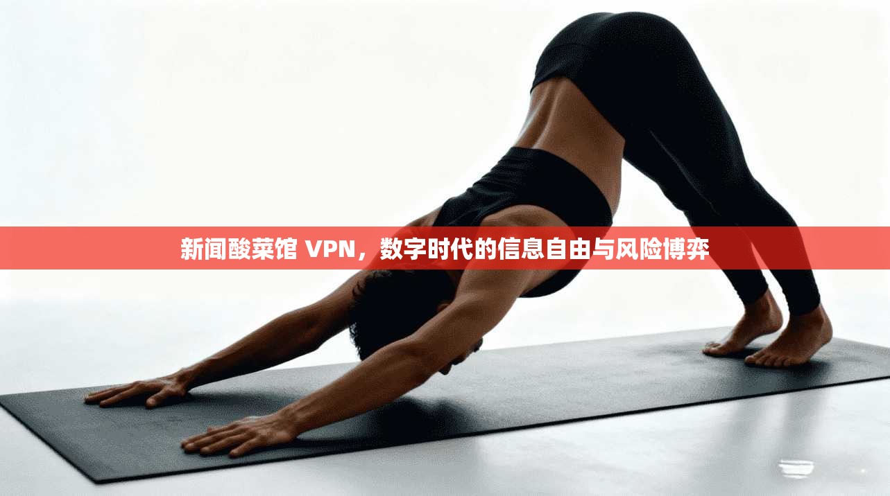 新闻酸菜馆 VPN，数字时代的信息自由与风险博弈