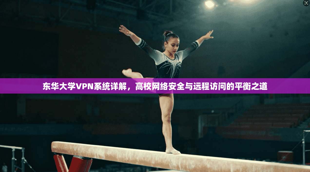 东华大学VPN系统详解，高校网络安全与远程访问的平衡之道