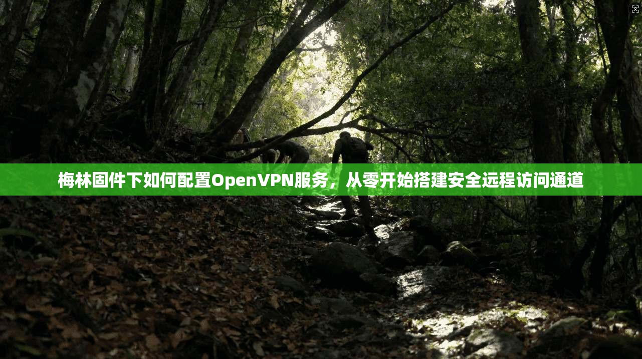 梅林固件下如何配置OpenVPN服务，从零开始搭建安全远程访问通道