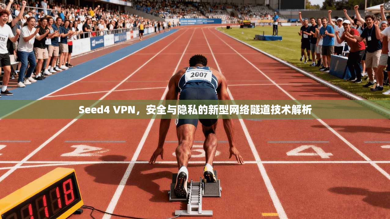 Seed4 VPN，安全与隐私的新型网络隧道技术解析