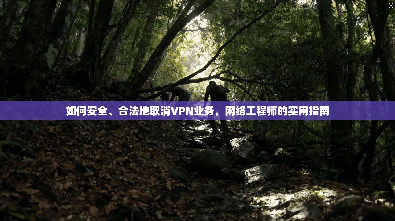 如何安全、合法地取消VPN业务，网络工程师的实用指南
