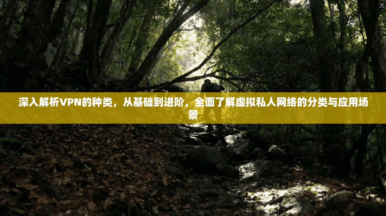 深入解析VPN的种类，从基础到进阶，全面了解虚拟私人网络的分类与应用场景