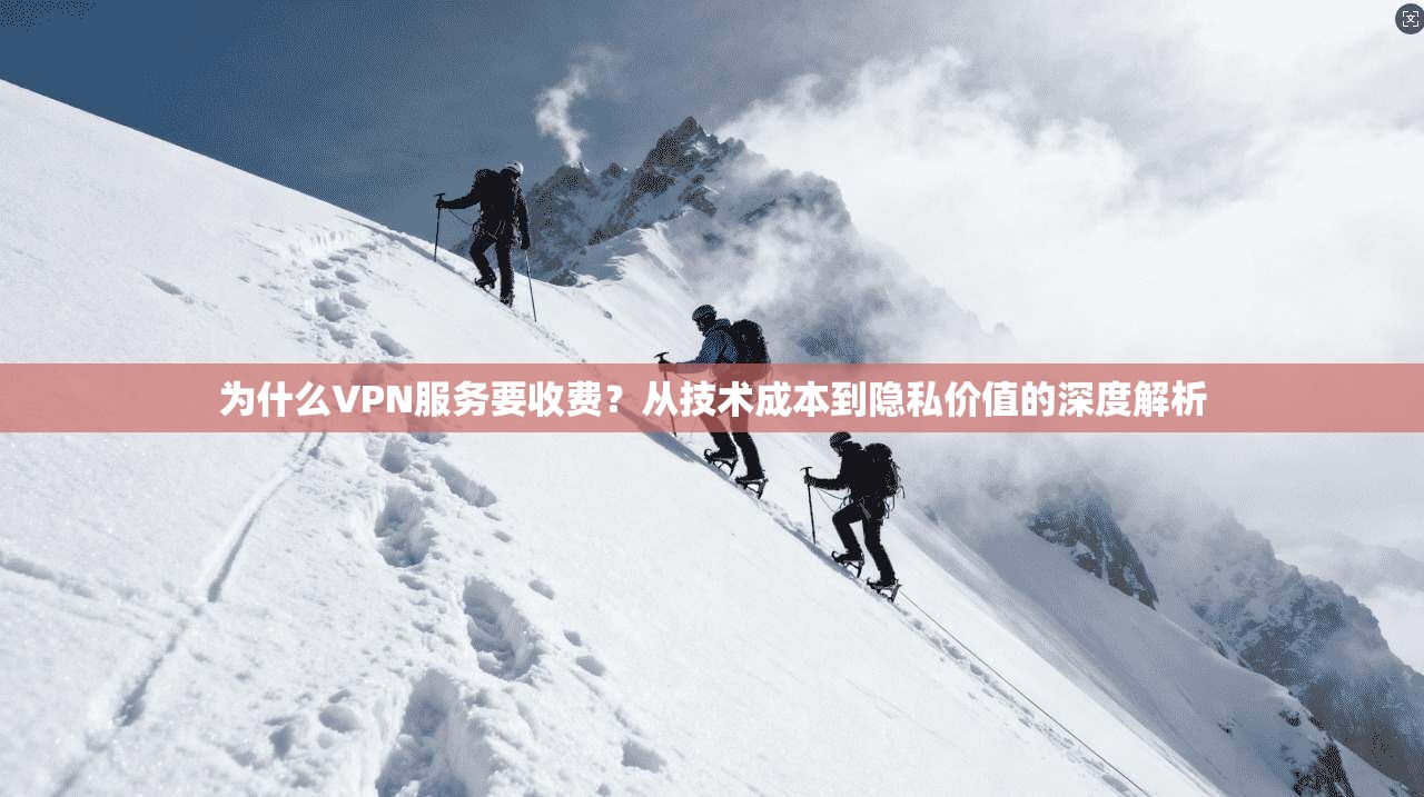 为什么VPN服务要收费？从技术成本到隐私价值的深度解析