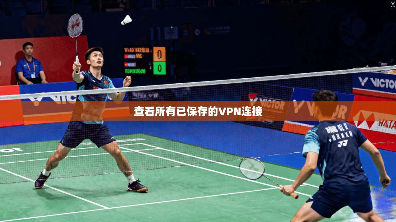查看所有已保存的VPN连接