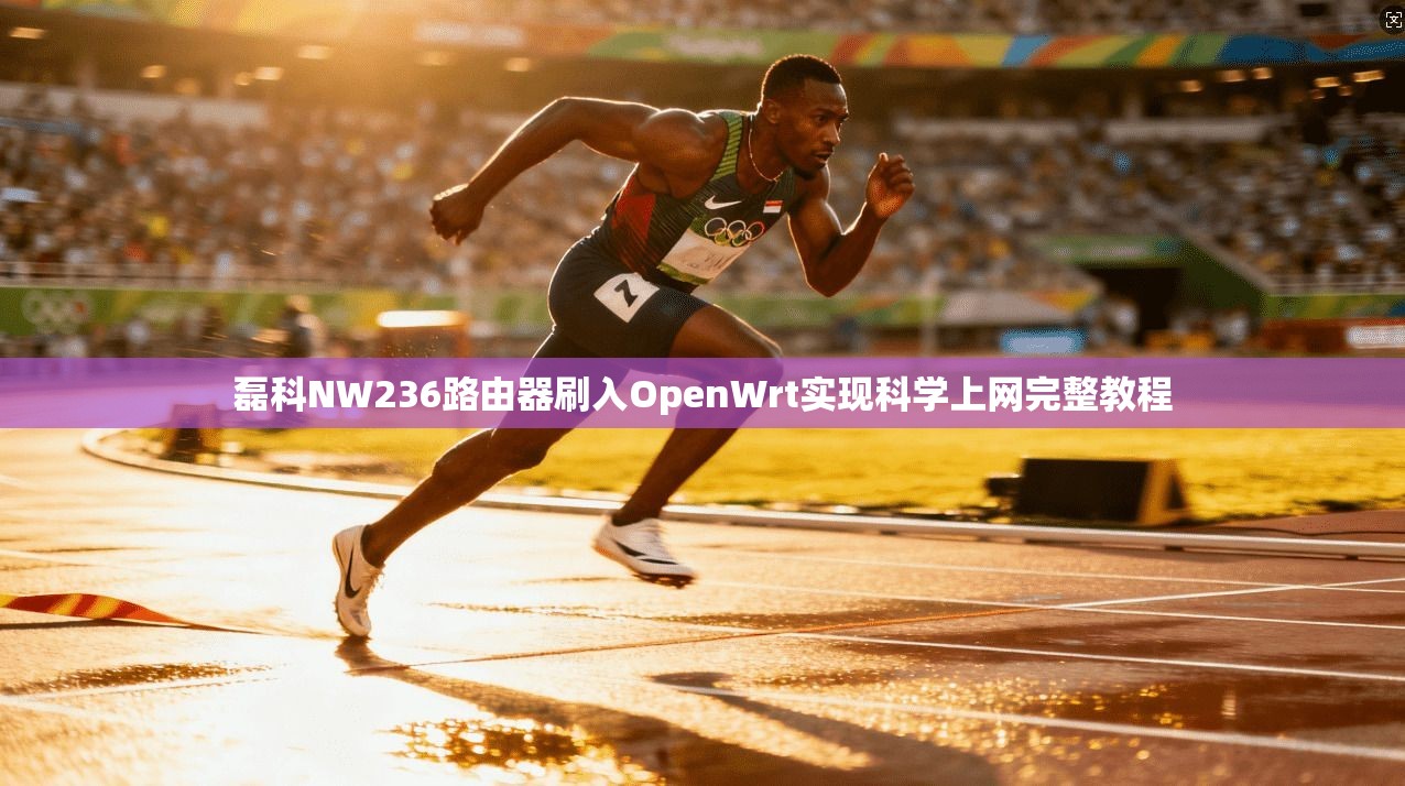 磊科NW236路由器刷入OpenWrt实现科学上网完整教程