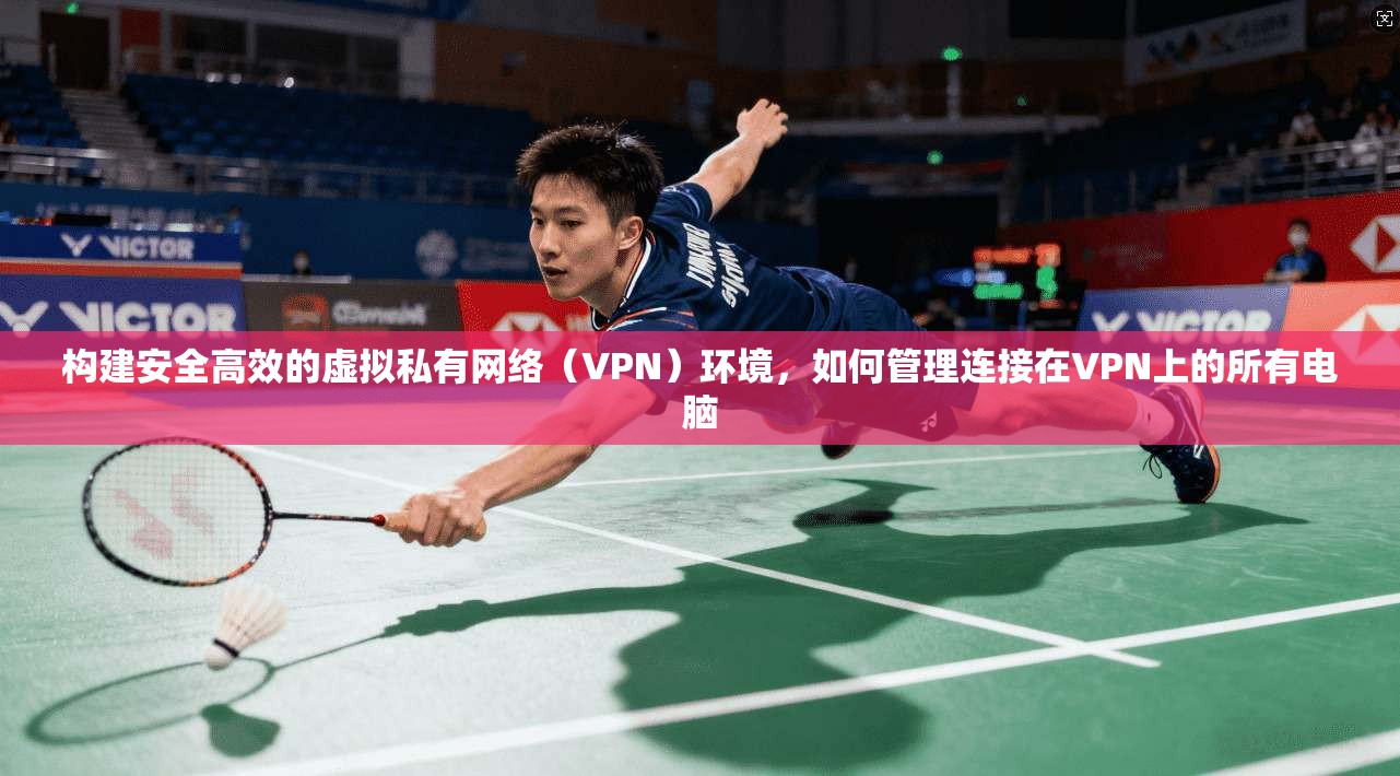 构建安全高效的虚拟私有网络（VPN）环境，如何管理连接在VPN上的所有电脑