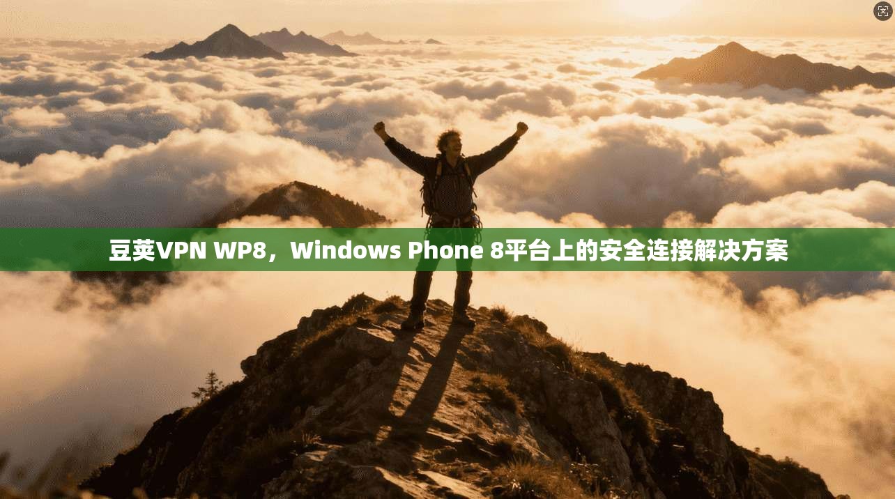 豆荚VPN WP8，Windows Phone 8平台上的安全连接解决方案