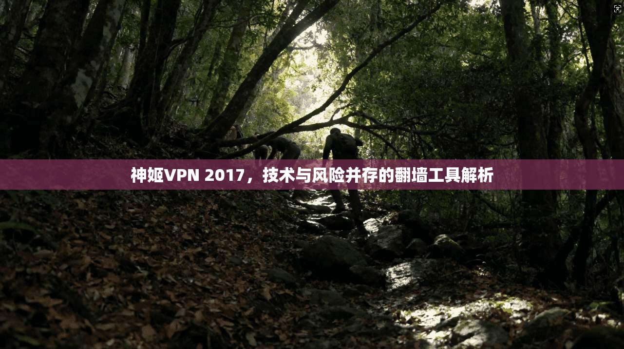 神姬VPN 2017，技术与风险并存的翻墙工具解析