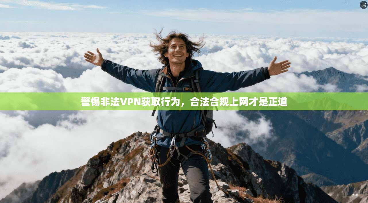 警惕非法VPN获取行为，合法合规上网才是正道