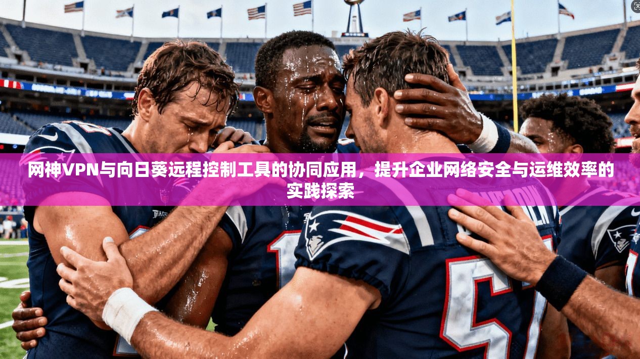 网神VPN与向日葵远程控制工具的协同应用，提升企业网络安全与运维效率的实践探索