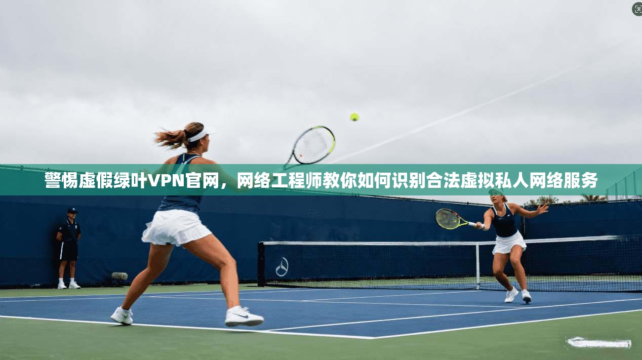 警惕虚假绿叶VPN官网，网络工程师教你如何识别合法虚拟私人网络服务