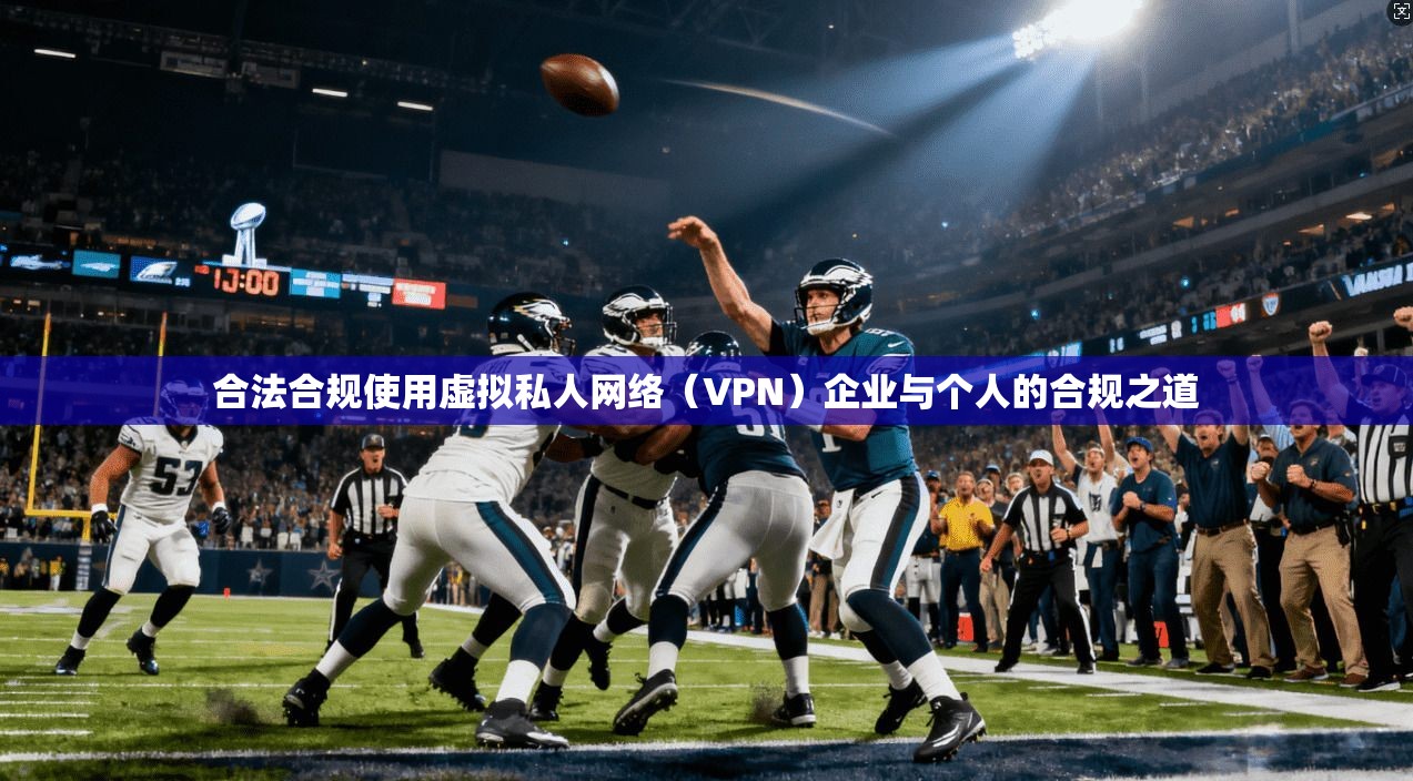 合法合规使用虚拟私人网络（VPN）企业与个人的合规之道