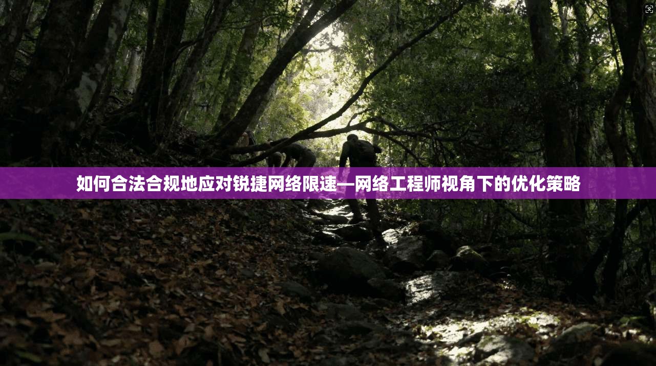 如何合法合规地应对锐捷网络限速—网络工程师视角下的优化策略