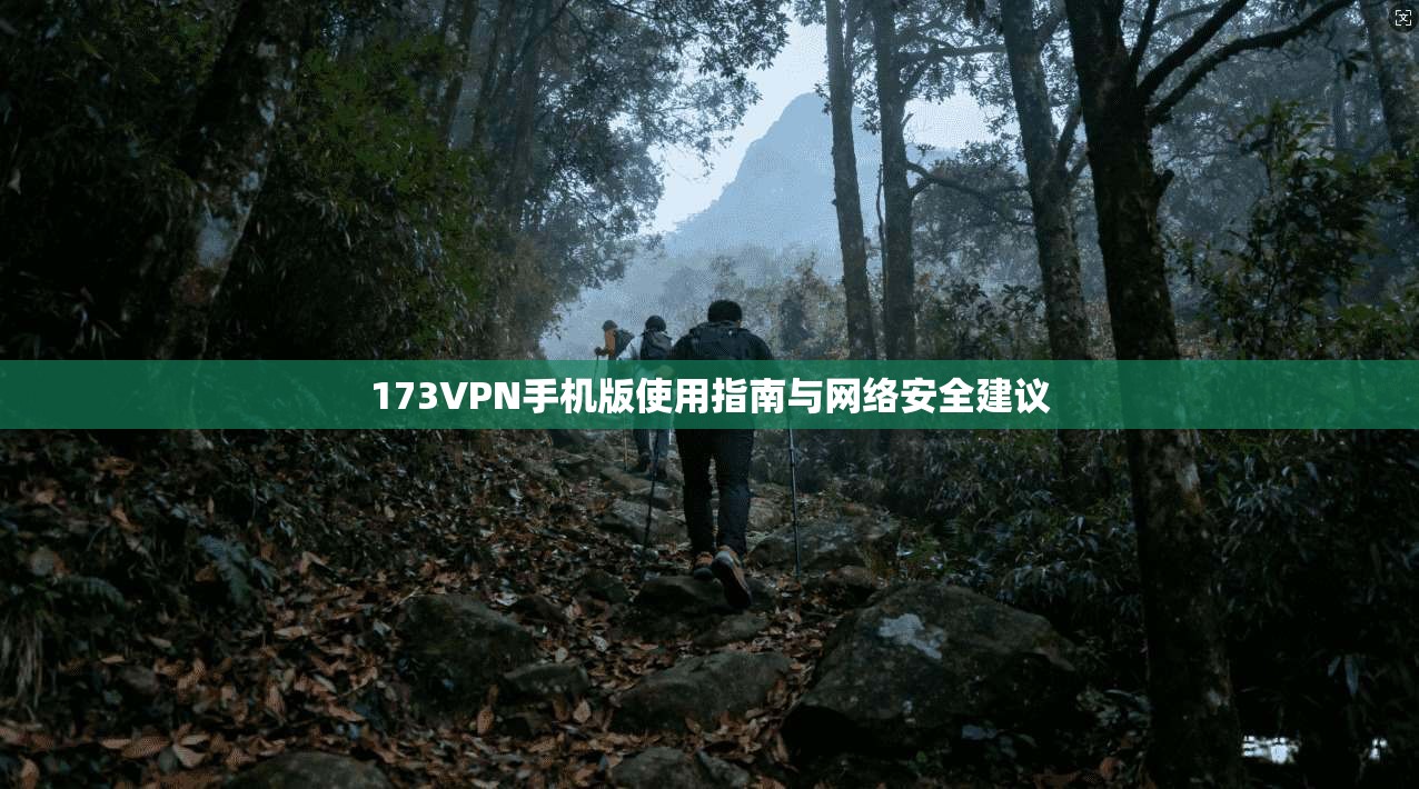 173VPN手机版使用指南与网络安全建议