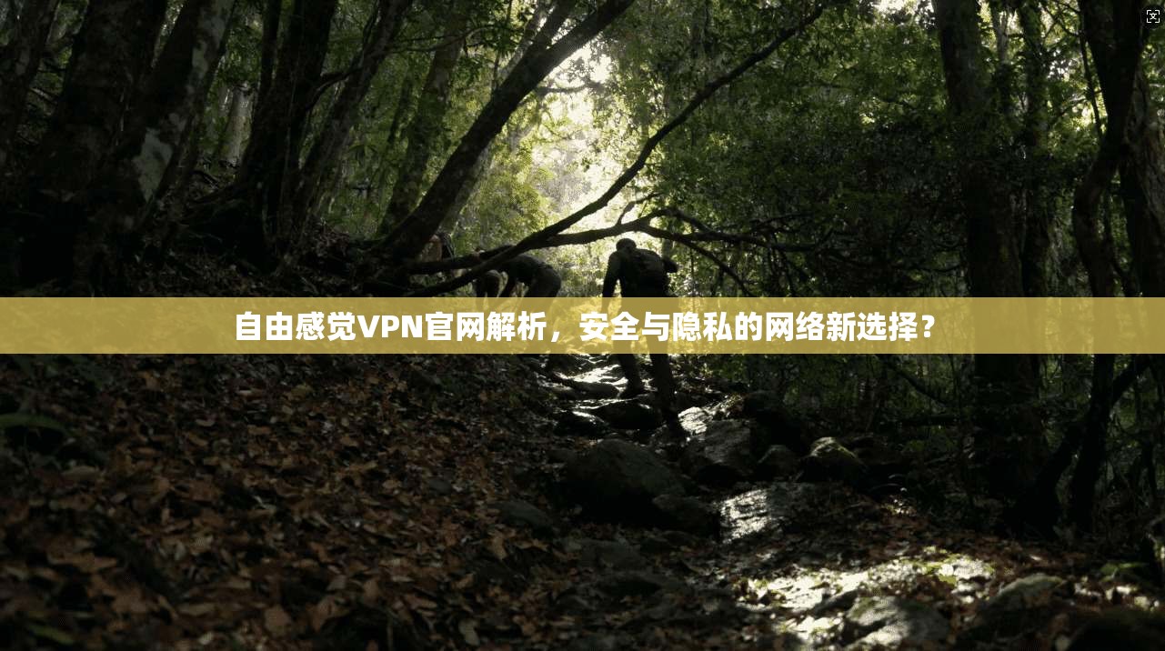 自由感觉VPN官网解析，安全与隐私的网络新选择？
