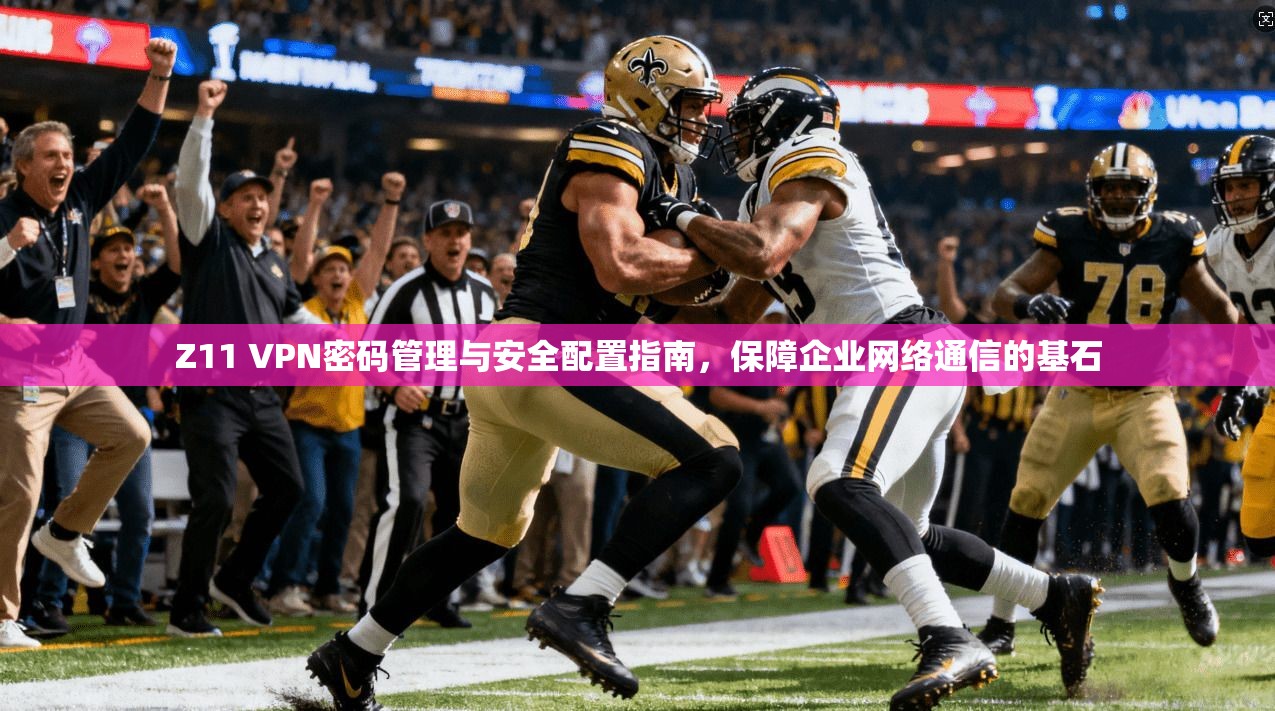 Z11 VPN密码管理与安全配置指南，保障企业网络通信的基石