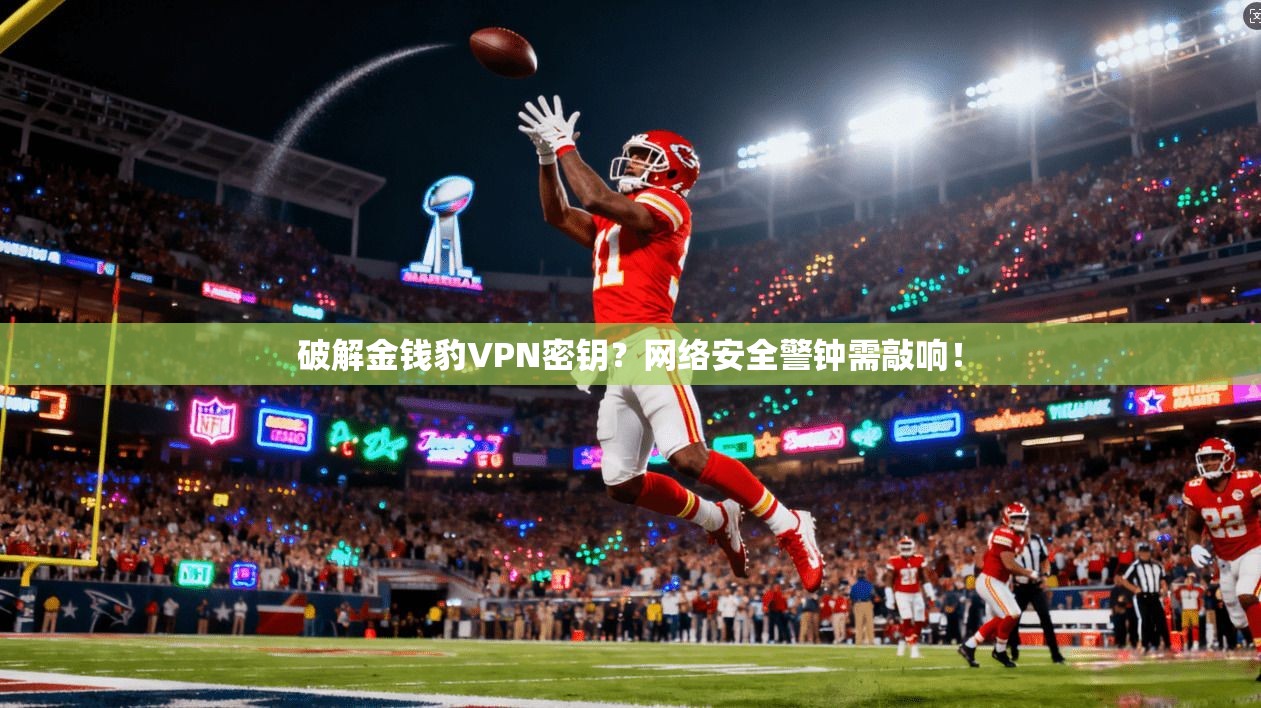 破解金钱豹VPN密钥？网络安全警钟需敲响！