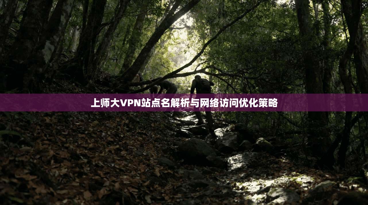 上师大VPN站点名解析与网络访问优化策略