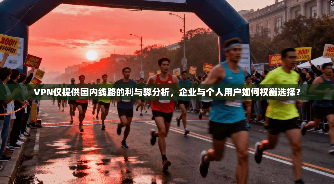 VPN仅提供国内线路的利与弊分析，企业与个人用户如何权衡选择？