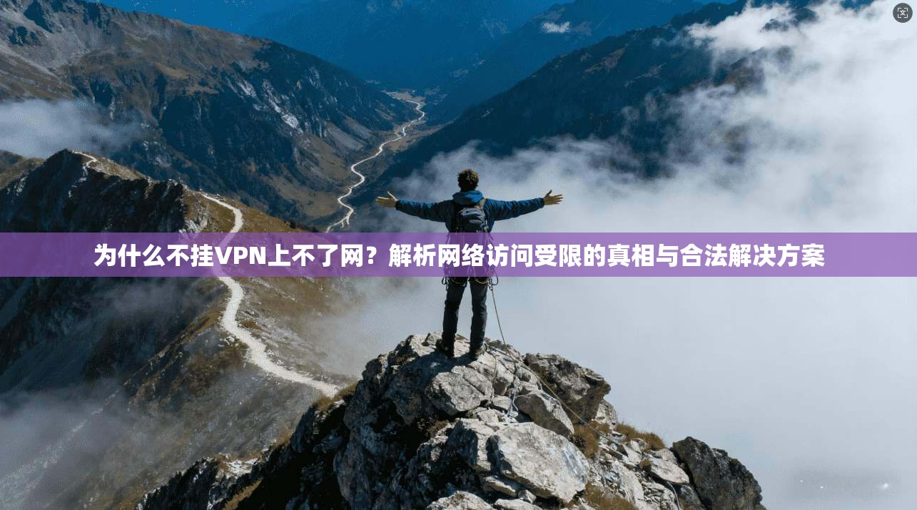 为什么不挂VPN上不了网？解析网络访问受限的真相与合法解决方案