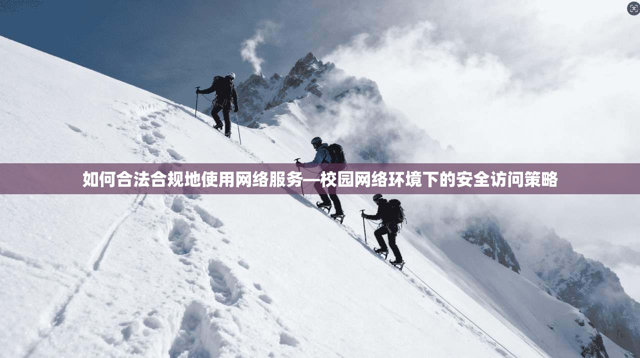 如何合法合规地使用网络服务—校园网络环境下的安全访问策略