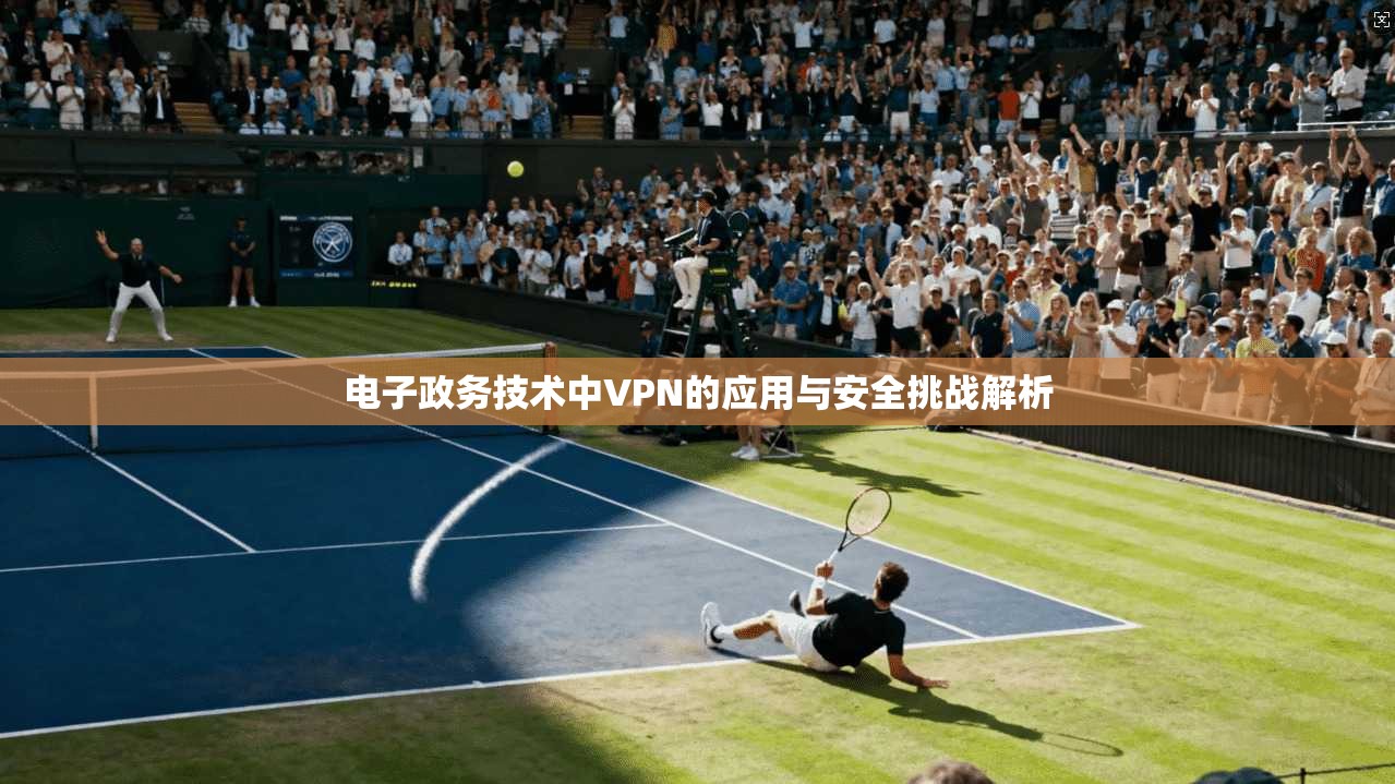电子政务技术中VPN的应用与安全挑战解析