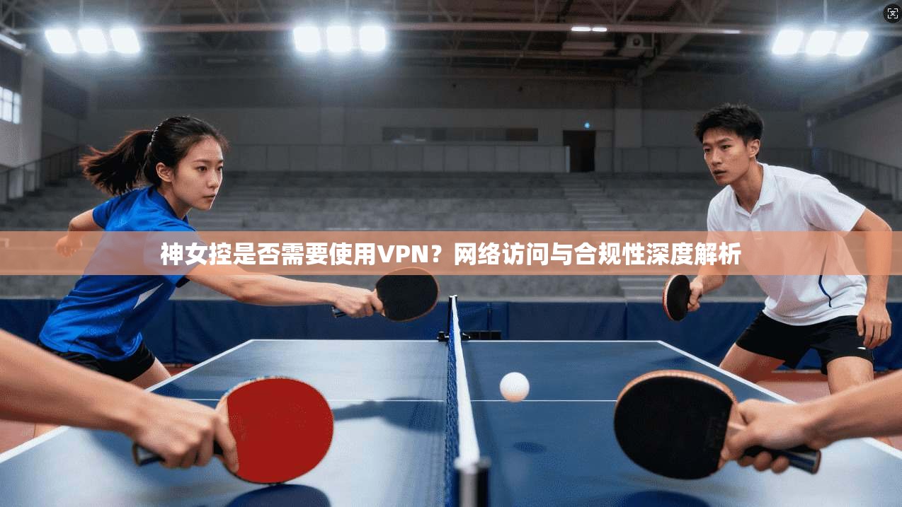 神女控是否需要使用VPN？网络访问与合规性深度解析