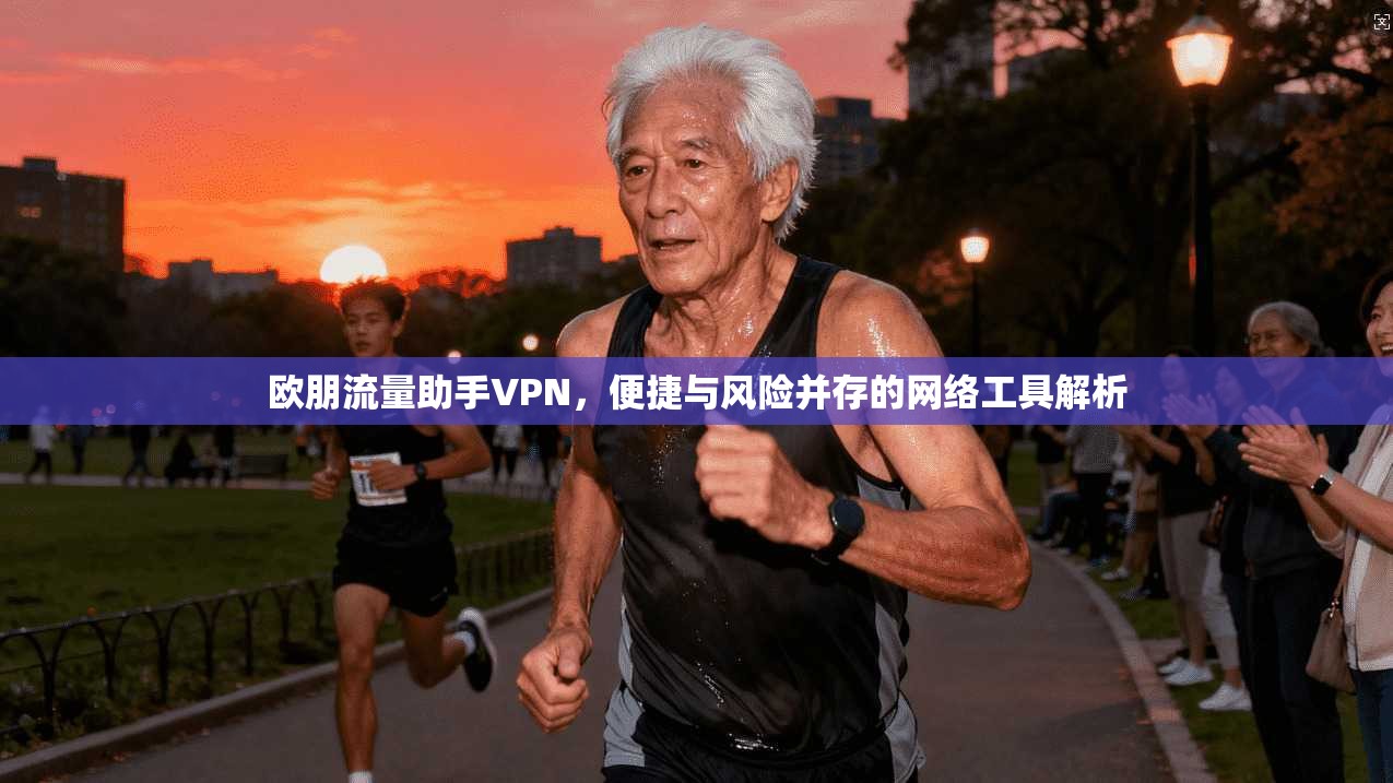欧朋流量助手VPN，便捷与风险并存的网络工具解析
