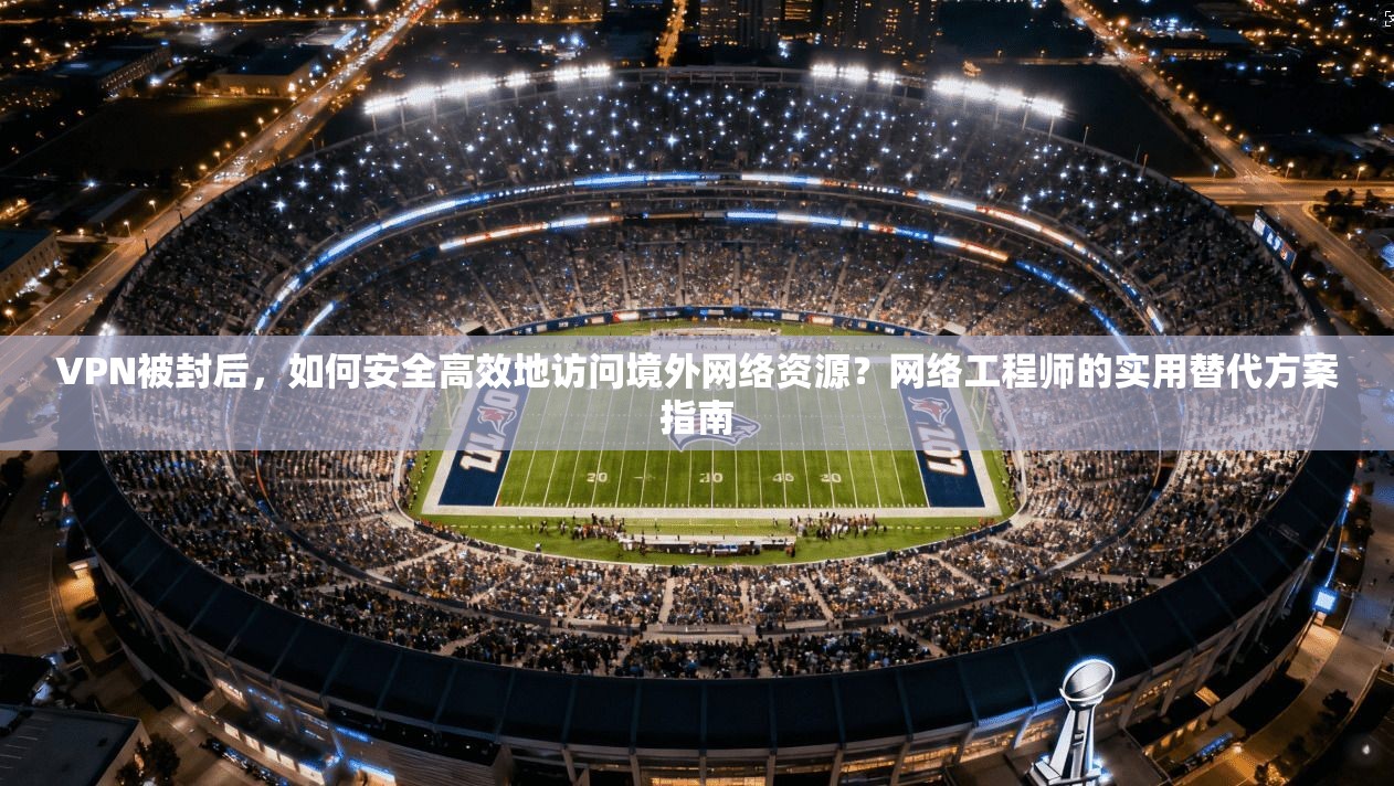 VPN被封后，如何安全高效地访问境外网络资源？网络工程师的实用替代方案指南