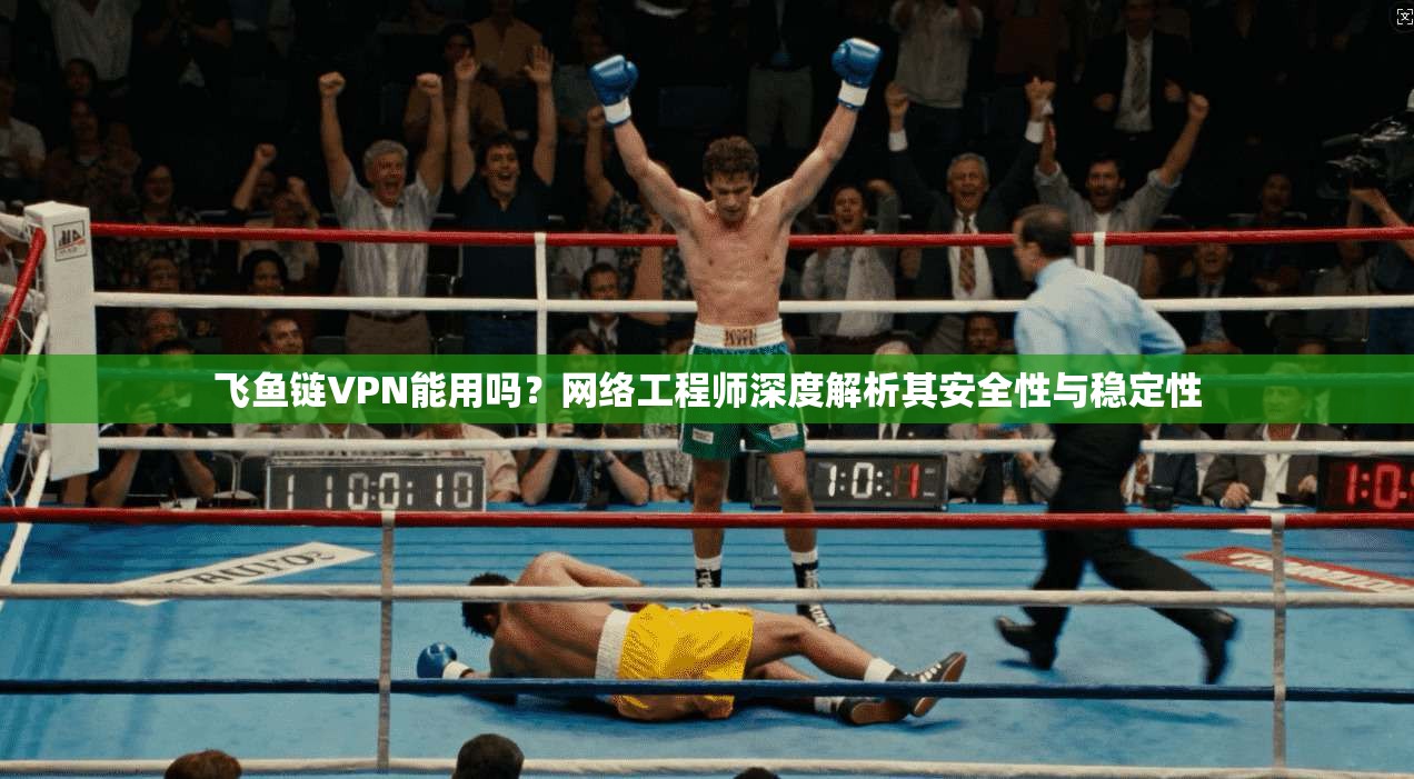 飞鱼链VPN能用吗？网络工程师深度解析其安全性与稳定性