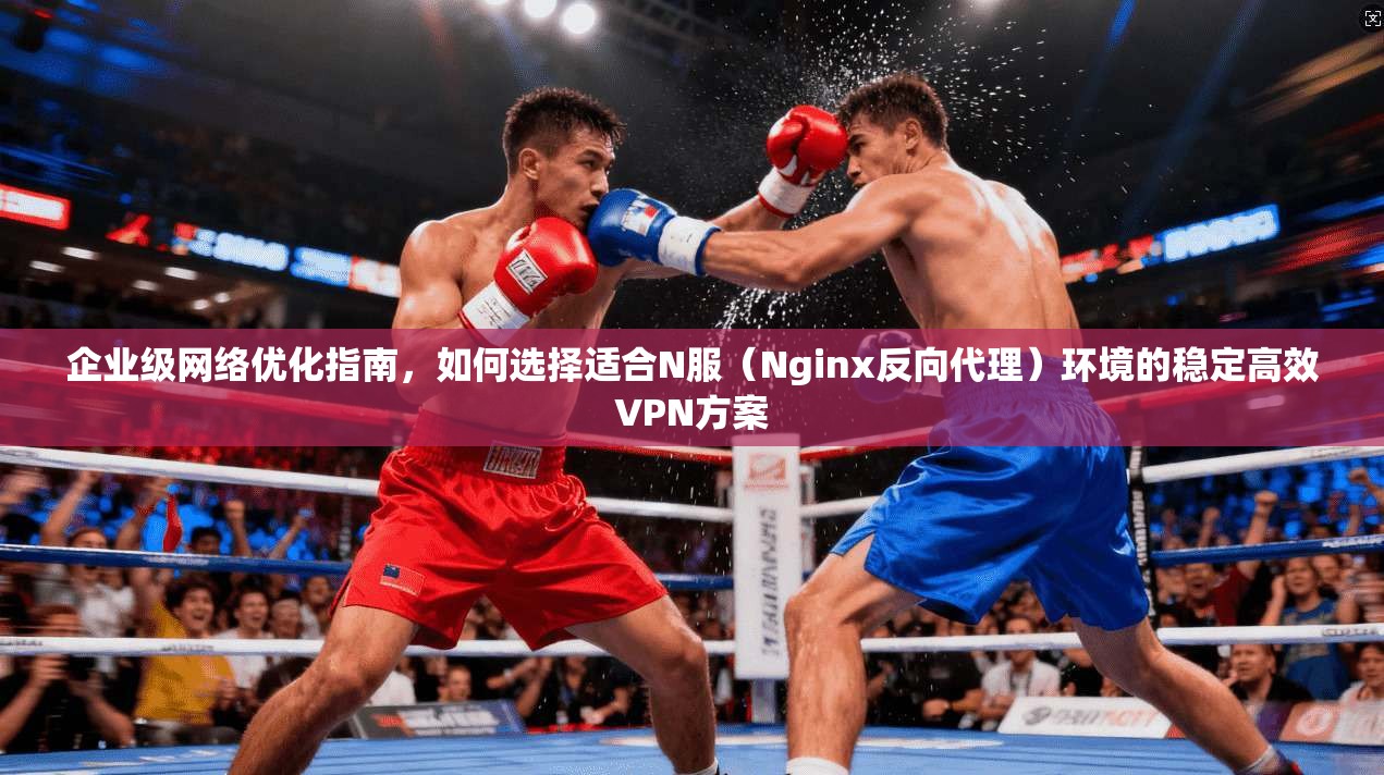 企业级网络优化指南，如何选择适合N服（Nginx反向代理）环境的稳定高效VPN方案