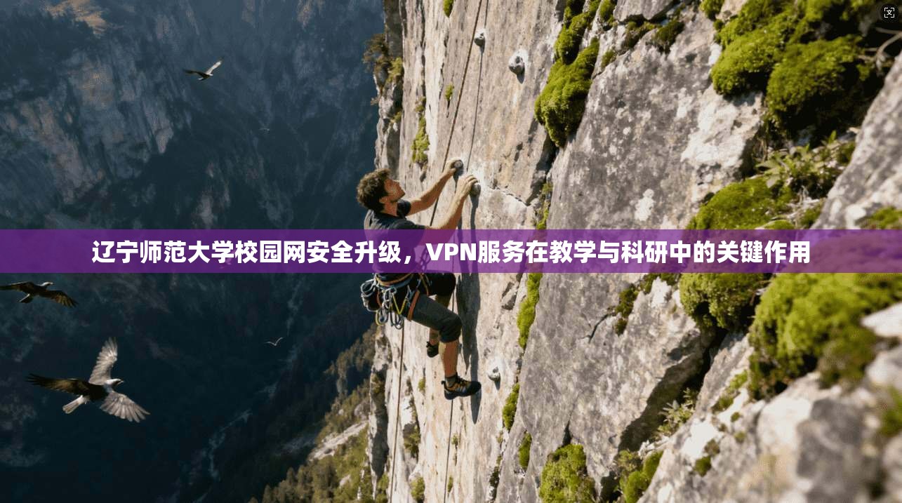 辽宁师范大学校园网安全升级，VPN服务在教学与科研中的关键作用