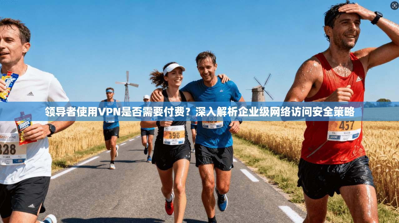 领导者使用VPN是否需要付费？深入解析企业级网络访问安全策略