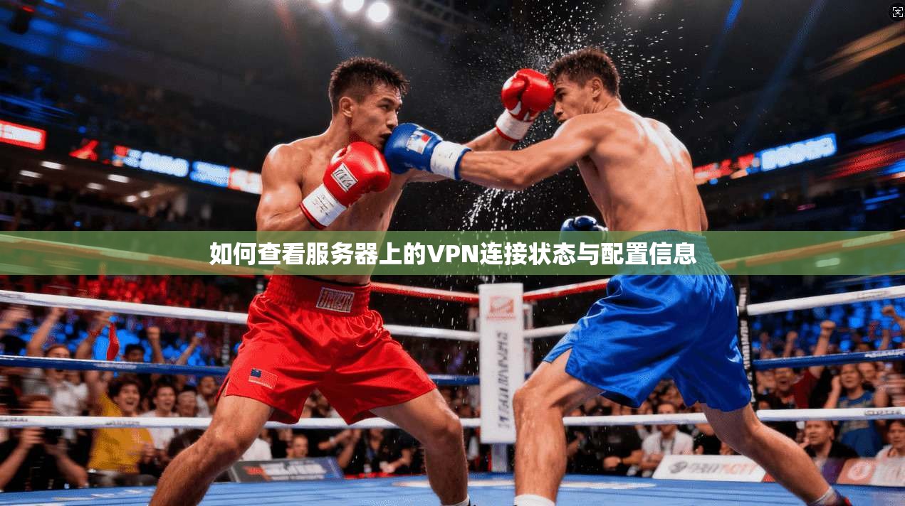 如何查看服务器上的VPN连接状态与配置信息