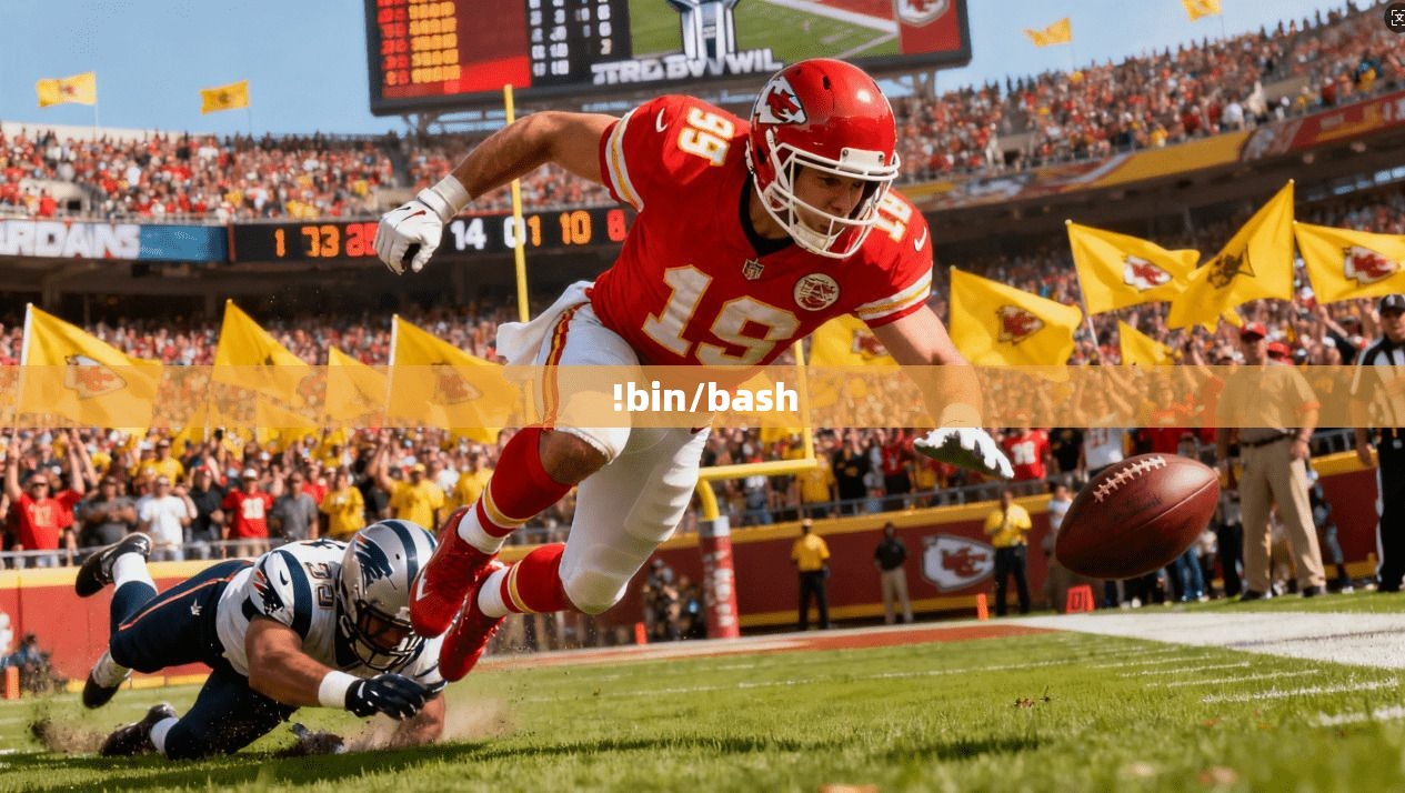 !bin/bash