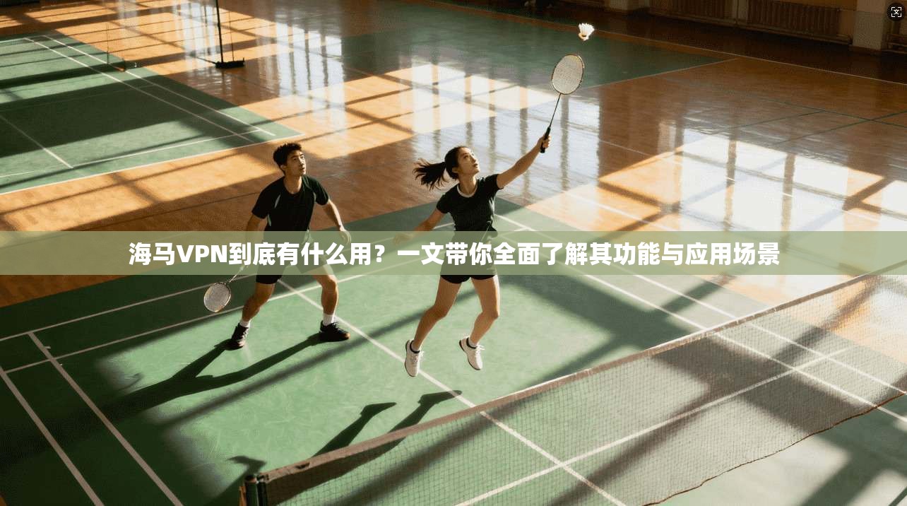 海马VPN到底有什么用？一文带你全面了解其功能与应用场景