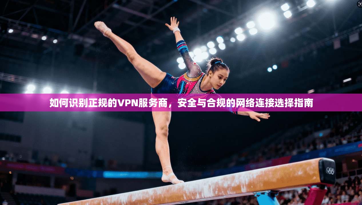 如何识别正规的VPN服务商，安全与合规的网络连接选择指南