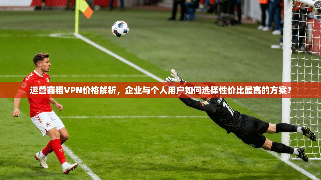 运营商租VPN价格解析，企业与个人用户如何选择性价比最高的方案？