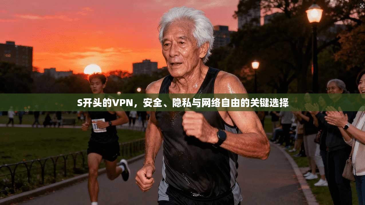 S开头的VPN，安全、隐私与网络自由的关键选择