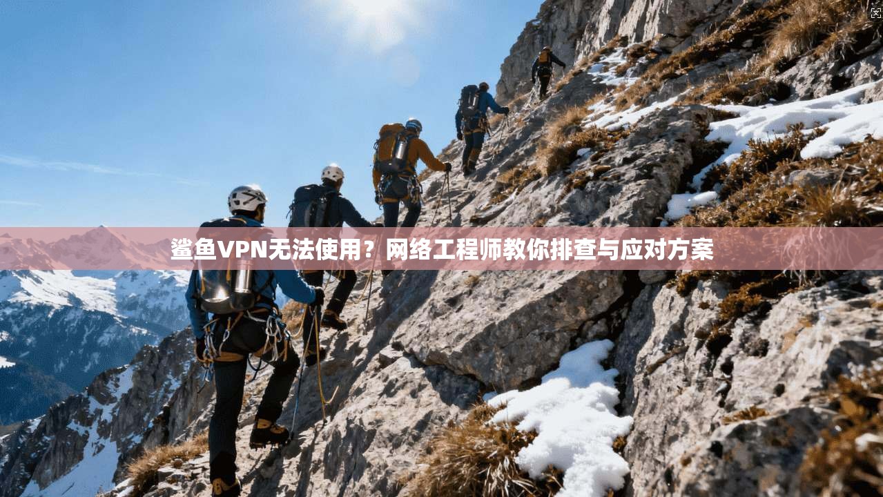 鲨鱼VPN无法使用？网络工程师教你排查与应对方案