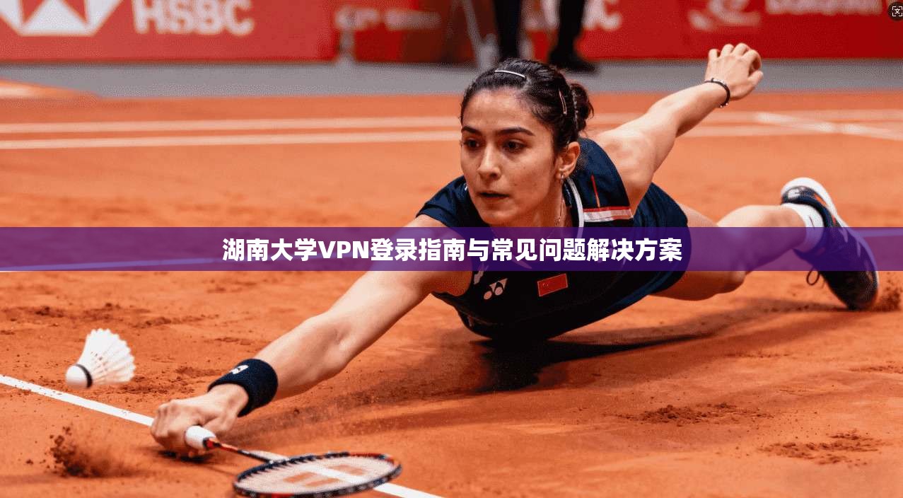 湖南大学VPN登录指南与常见问题解决方案