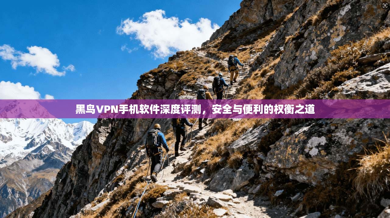 黑鸟VPN手机软件深度评测，安全与便利的权衡之道
